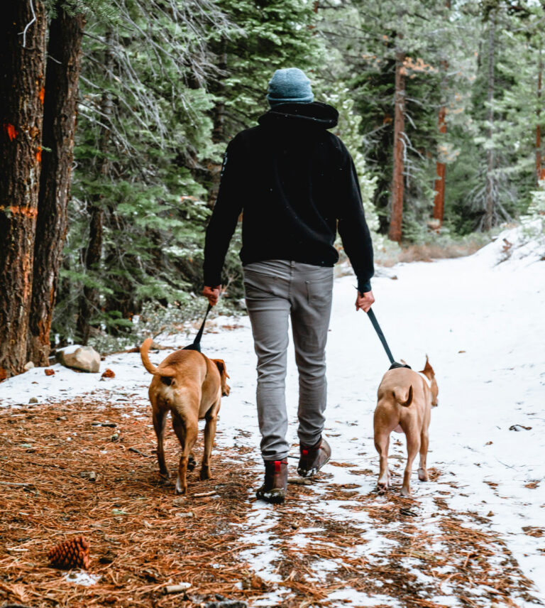 Hike Club DOg Hiking South Denver: Ken Caryl, Littleton, Columbine Valley, Roxborough, Ravenna, Chatfield