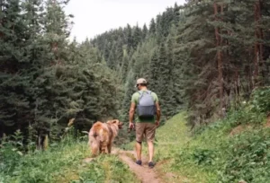 Why a Hike Is More Than a Longer Dog Walk
