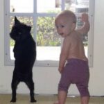 Could there by anything cuter than this dog and baby?