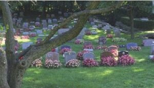 Section d