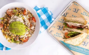 Mendocino farms